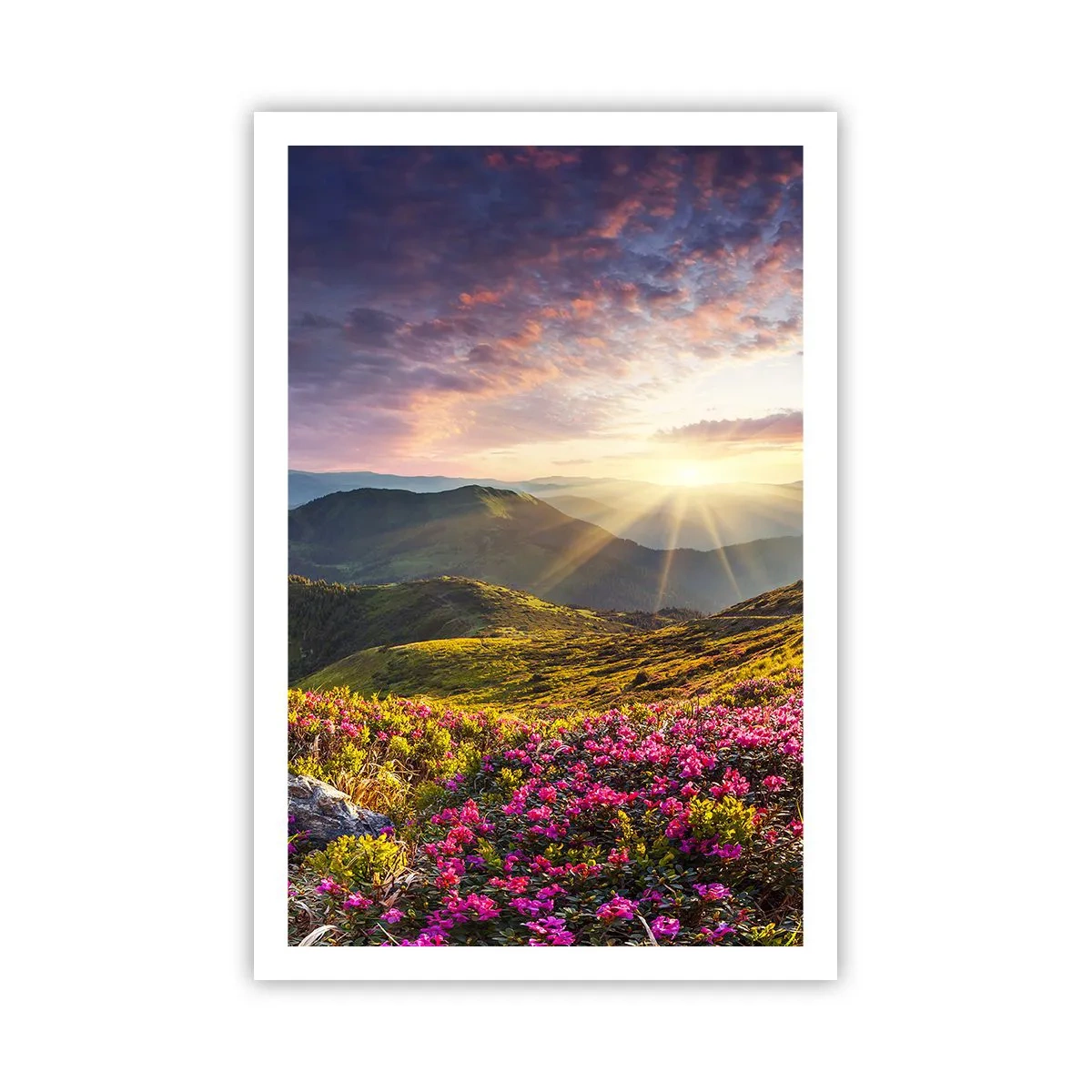 Plakat - Świeżość górskiego poranka - 61x91 cm