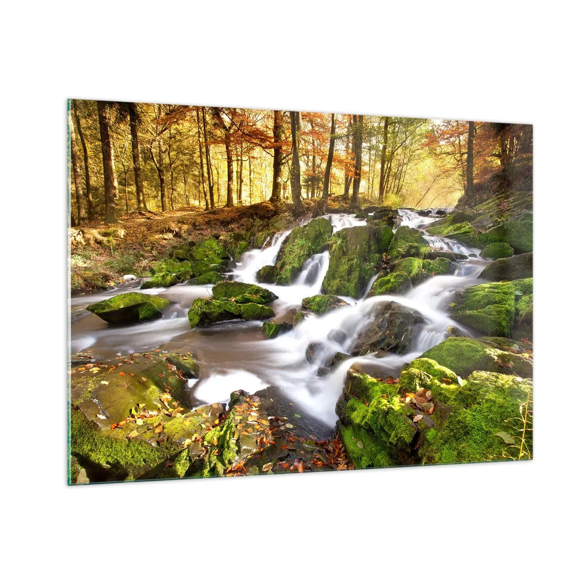 Obraz na szkle - Leśny strumień z wodospadami w jesiennym krajobrazie - 100x70cm - Bystro przez jesienny las - Nowoczesna dekoracja ścienna do salonu, kuchni i sypialni ARTTOR
