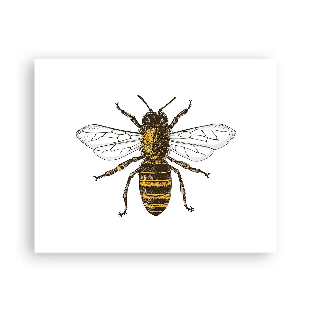 Plakat - Piękna i dobra - 50x40 cm