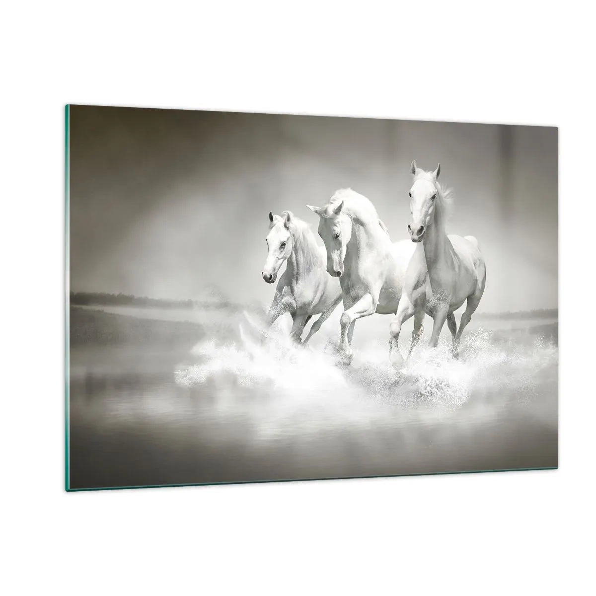 Obraz na szkle - Trzy białe konie galopujące po wodzie - 120x80cm - Białe szaleństwo - Nowoczesna dekoracja ścienna do salonu, kuchni i sypialni ARTTOR
