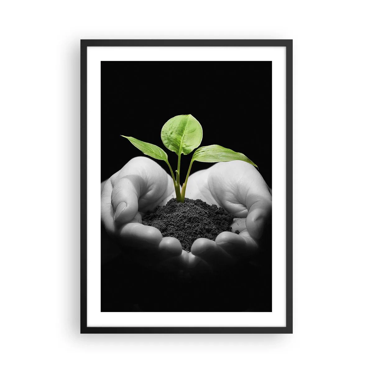 Plakat w czarnej ramie - Roślina w rękach symbolizująca życie i naturę - 50x70cm - Kocham naturę, chronię ją - Nowoczesna dekoracja ścienna do salonu i sypialni ARTTOR
