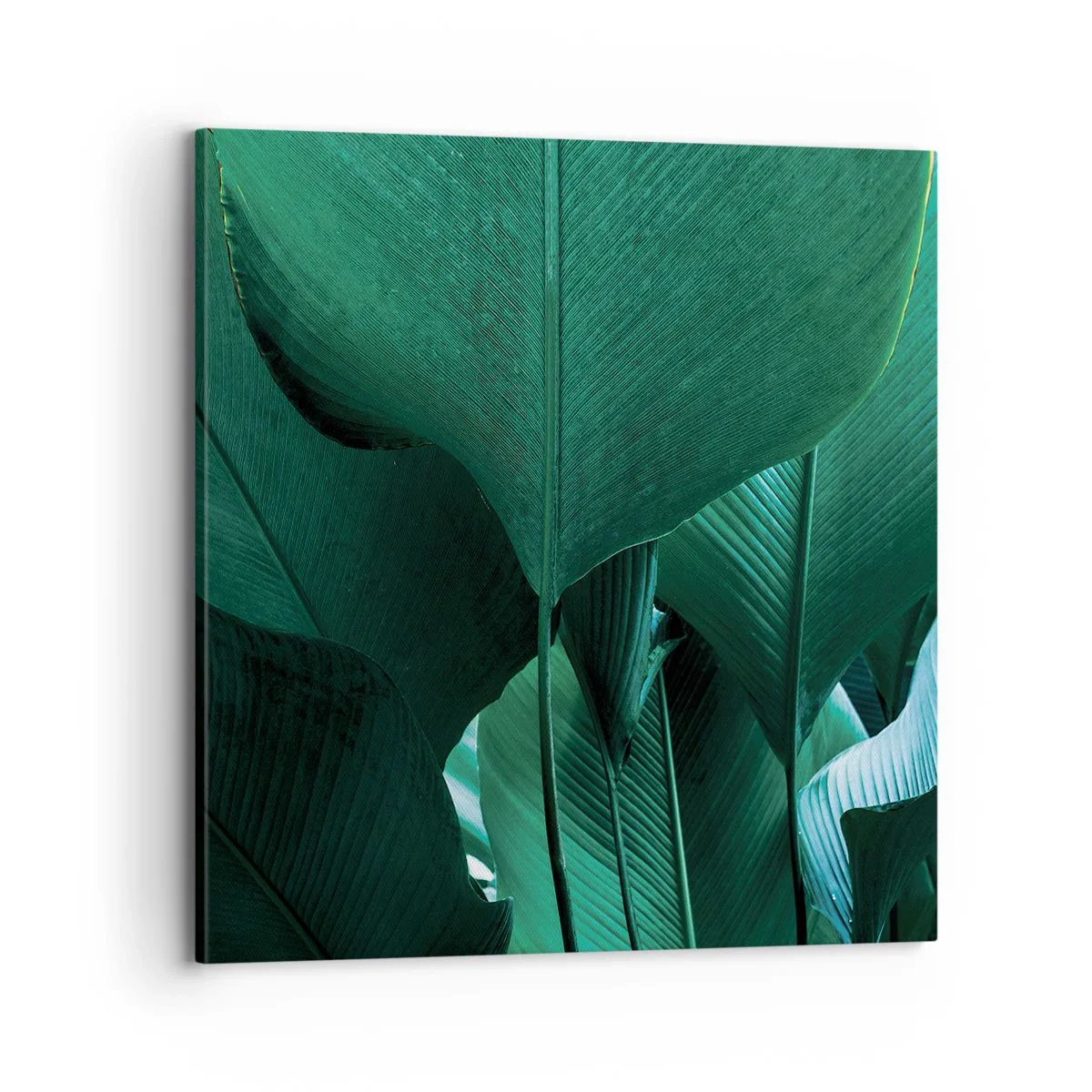 Obraz na płótnie - Zwrócone do światła - 70x70 cm
