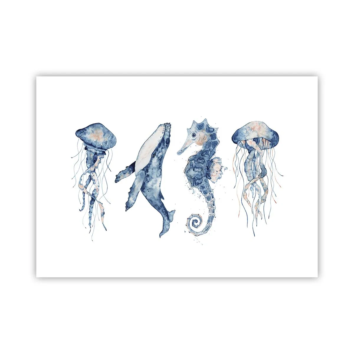 Plakat - Morskie dziwy - 70x50 cm