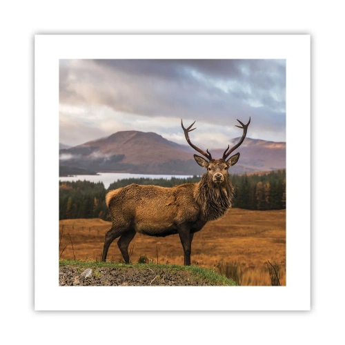 Plakat - Majestat natury - 40x40 cm