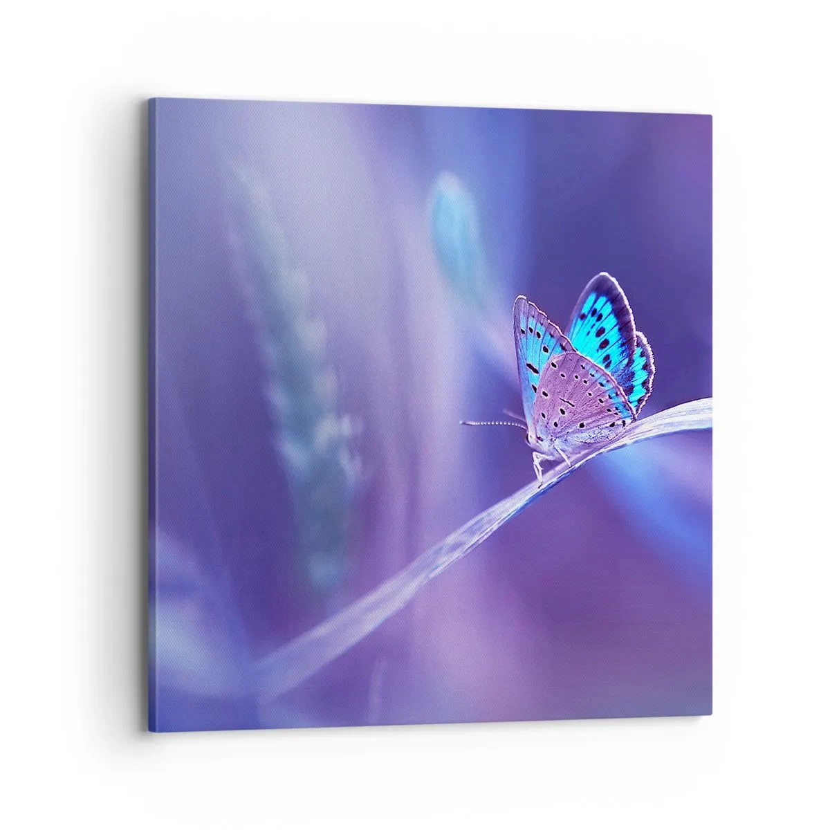 Obraz na płótnie - Klejnot natury - 70x70 cm