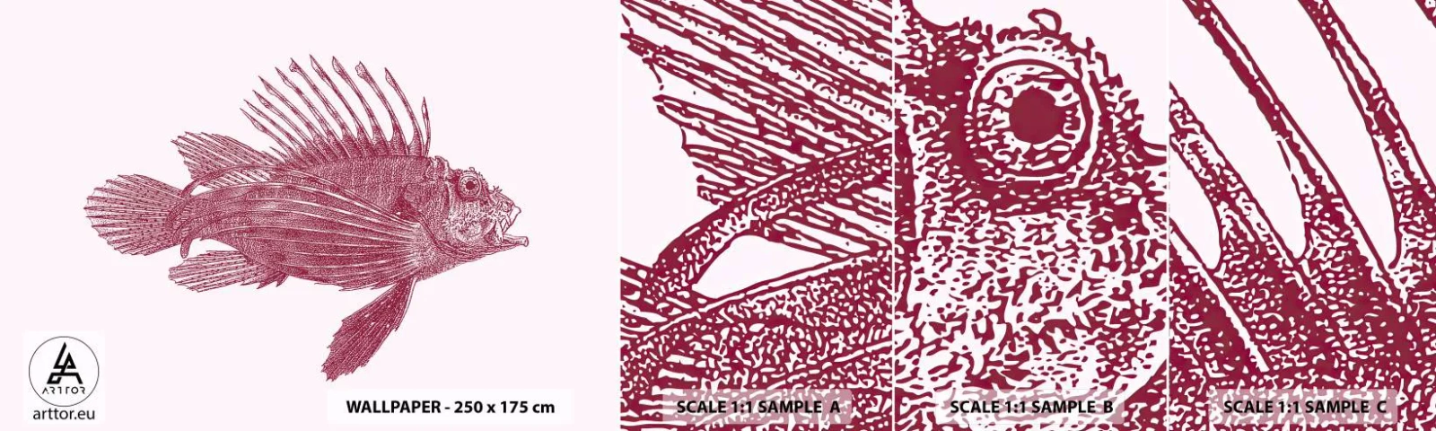 Fototapeta Próbka Samoprzylepna Deluxe Sticker - Mieszkanka egzotycznych wód - Ryba, Skrzydlica, Tropikalna - 100x30 cm