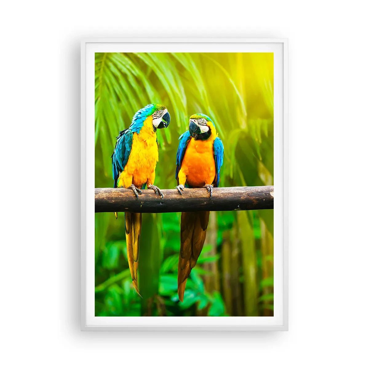 Plakat w białej ramie - A słyszałaś, że ona…? - 70x100 cm