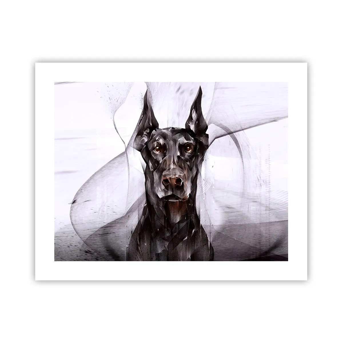 Plakat - Szlachetnie urodzony - 50x40 cm