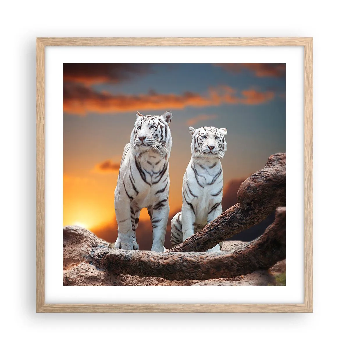 Plakat w ramie jasny dąb - Zupełnie jak w Narni - 50x50 cm