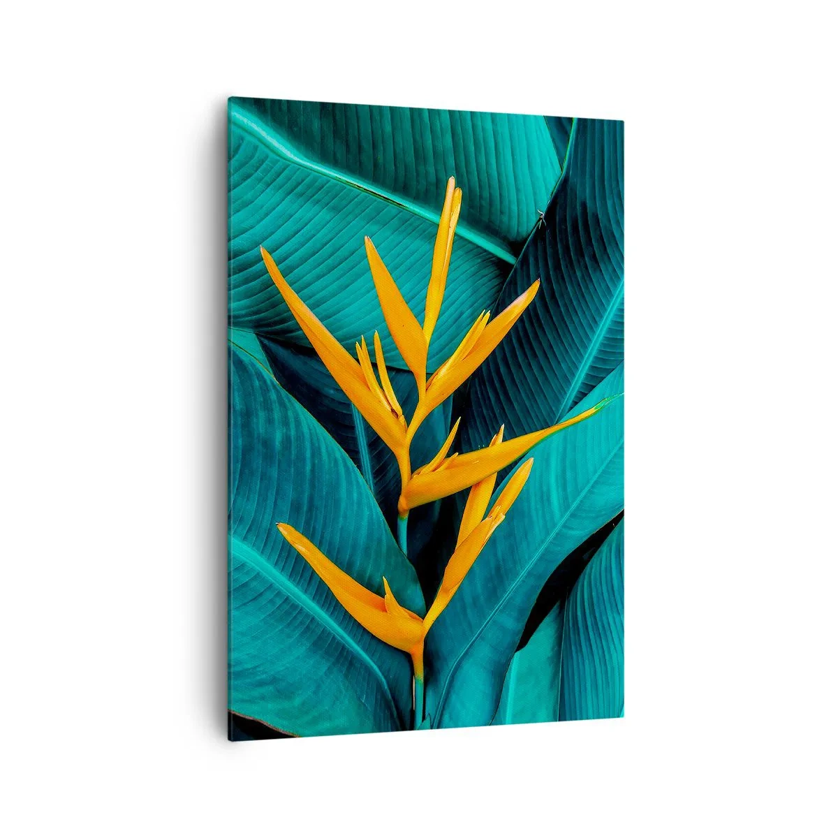 Obraz na płótnie - Egzotyczny kwiat na tle liści bananowca w turkusowych odcieniach - 70x100cm - Kwiat Edenu - Nowoczesna dekoracja ścienna do salonu i sypialni ARTTOR