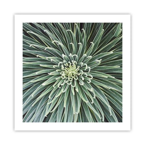 Plakat - Narodziny gwiazdy - 50x50 cm