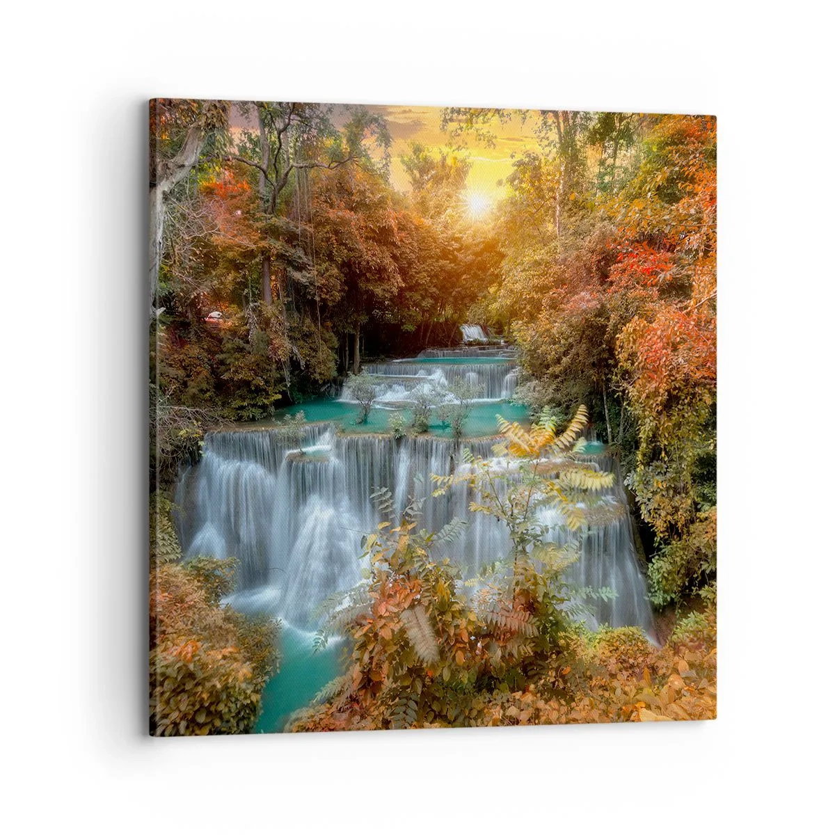 Obraz na płótnie - Ukryty skarb lasu - 70x70 cm