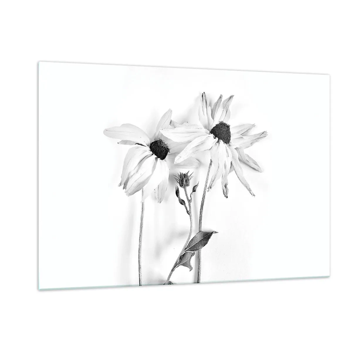 Obraz na szkle - Czarno-białe kwiaty w minimalistycznym stylu - 120x80cm - Nikt nie chce być sam - Nowoczesna dekoracja ścienna do salonu, kuchni i sypialni ARTTOR