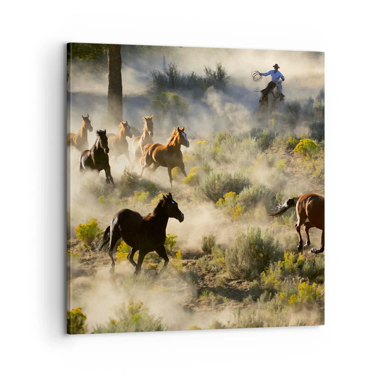 Obraz na płótnie - Rywalizacja - wolność czy męska siła? - 60x60 cm