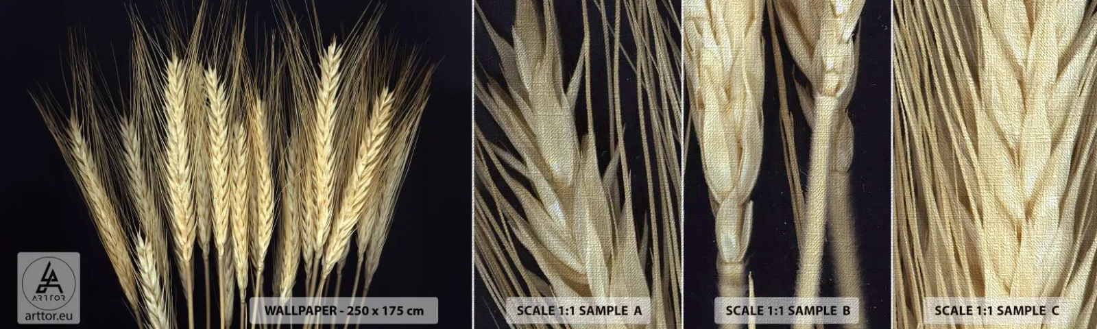 Fototapeta Próbka Premium Canvas - Rustykalna magia - Zboże, Rośliny, Natura - 100x30 cm