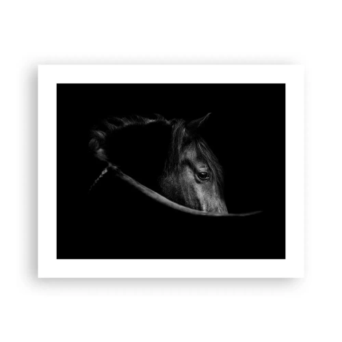 Plakat - Czarny książę - 50x40 cm