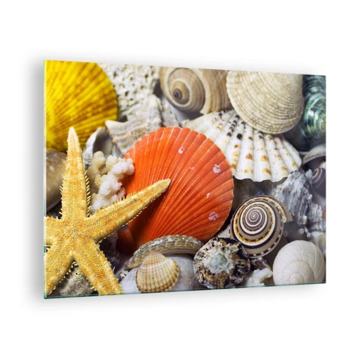 Obraz na szkle - Kolorowe muszle i rozgwiazda w morskiej kompozycji - 70x50cm - Skarby oceanu - Nowoczesna dekoracja ścienna do salonu i sypialni ARTTOR