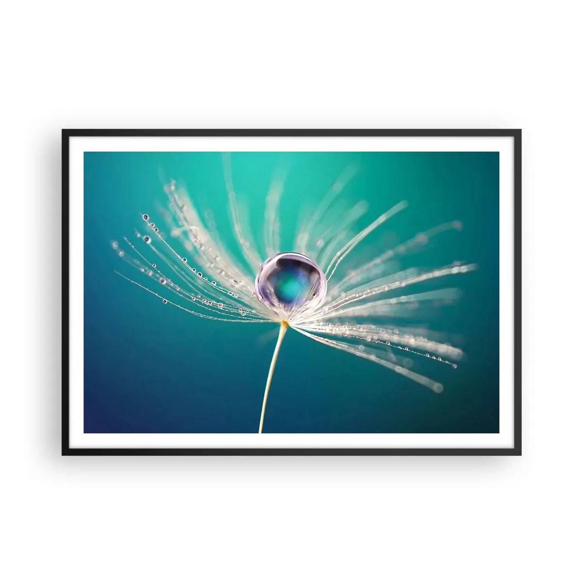 Plakat w czarnej ramie - Makro kropla wody na delikatnym nasionku dmuchawca - 100x70cm - Mistyczna chwila - Nowoczesna dekoracja ścienna do salonu i sypialni ARTTOR