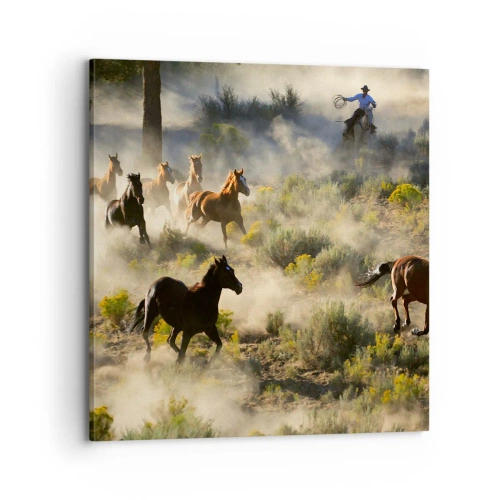 Obraz na płótnie - Rywalizacja - wolność czy męska siła? - 70x70 cm