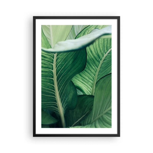 Plakat w czarnej ramie - Zielone liście rośliny w zbliżeniu - 50x70cm - Życie intensywnie zielone - Nowoczesna dekoracja ścienna do salonu i sypialni ARTTOR