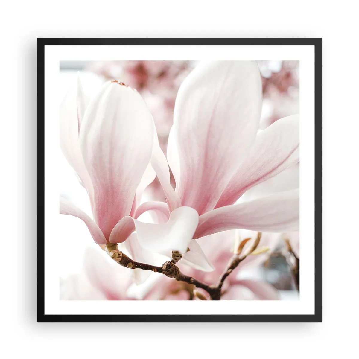 Plakat w czarnej ramie - Bezmiar czułości - 60x60 cm