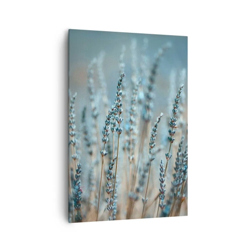 Obraz na płótnie - Lawenda na polu w subtelnej pastelowej tonacji - 70x100cm - Pachnący łan - Nowoczesna dekoracja ścienna do salonu i sypialni ARTTOR