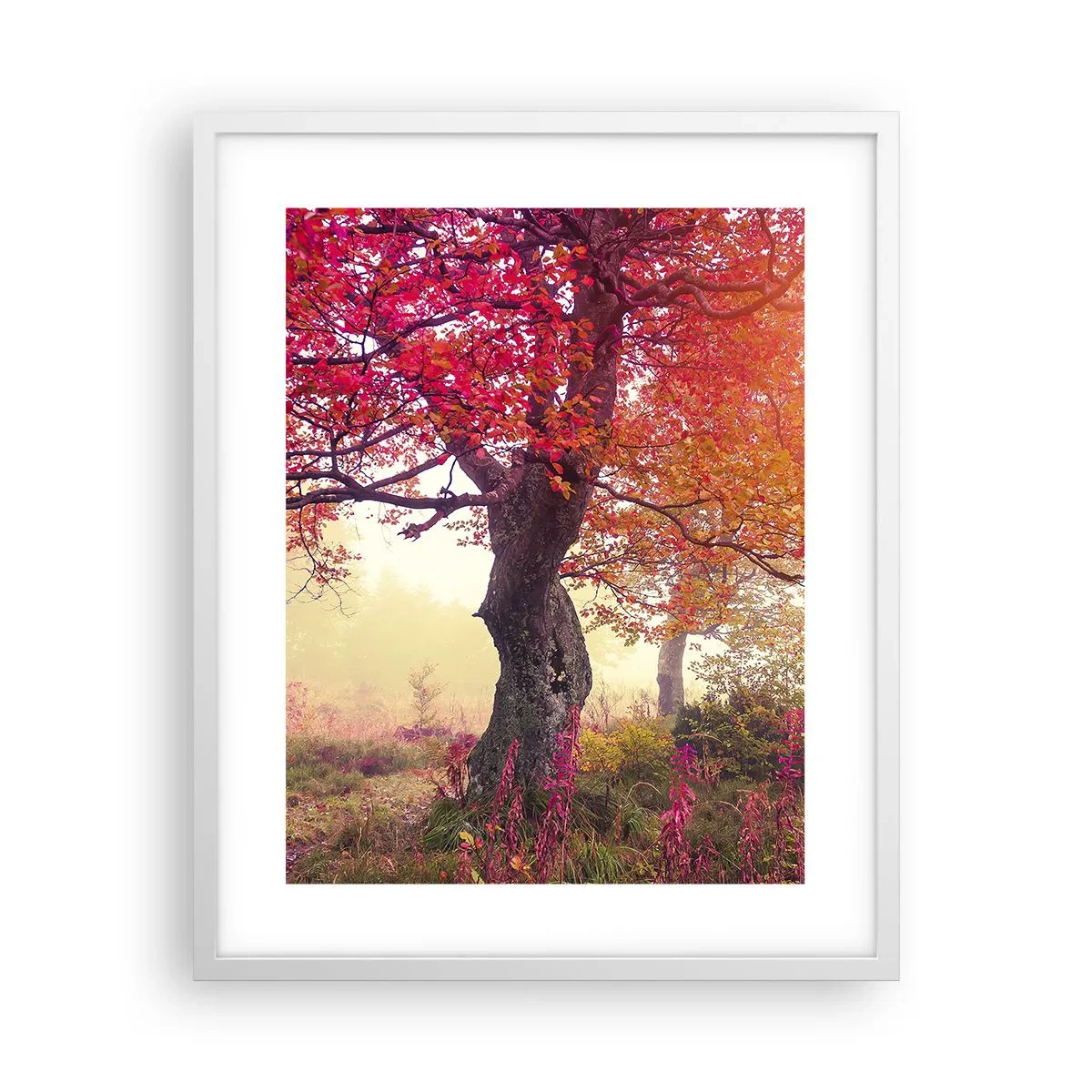 Plakat w białej ramie - Szał rozkwitu - 40x50 cm