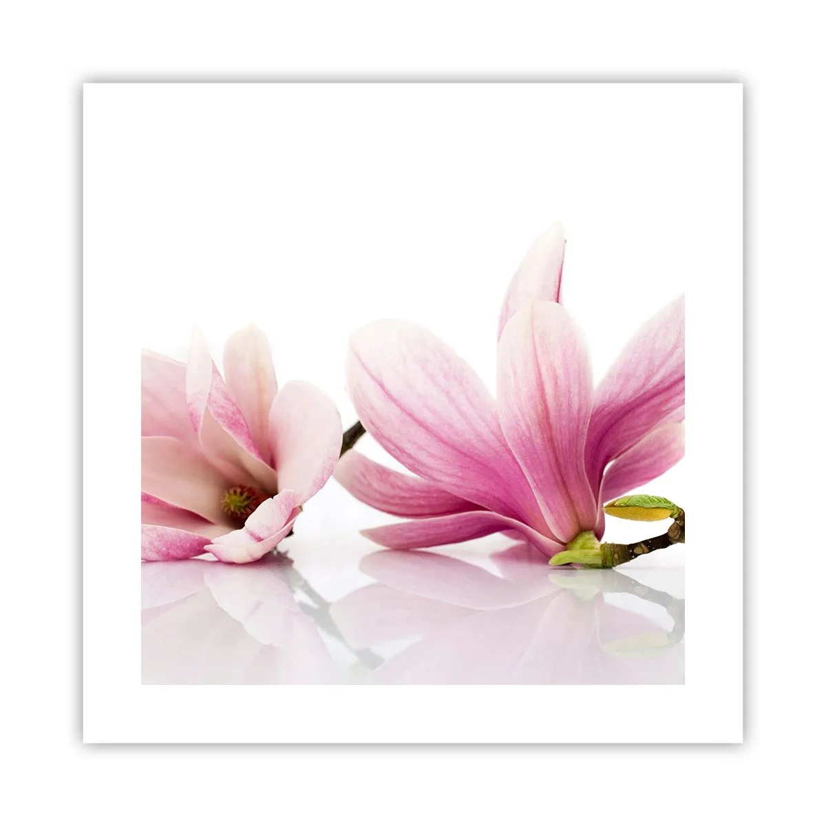 Plakat - Delikatne jak powiew wiosny - 40x40 cm