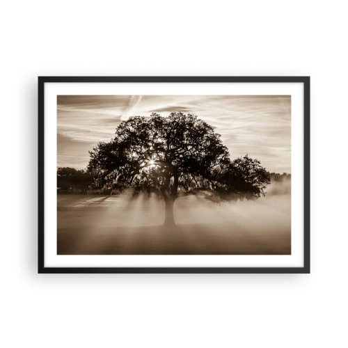 Plakat w czarnej ramie - Promienie słońca przebijające przez samotne drzewo - 70x50cm - Drzewo wiadomości samego dobrego - Nowoczesna dekoracja ścienna do salonu i sypialni ARTTOR
