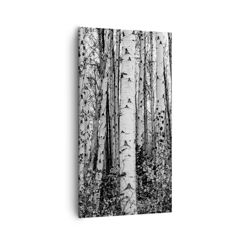 Obraz na płótnie - Brzozowa kolumnada - 55x100 cm