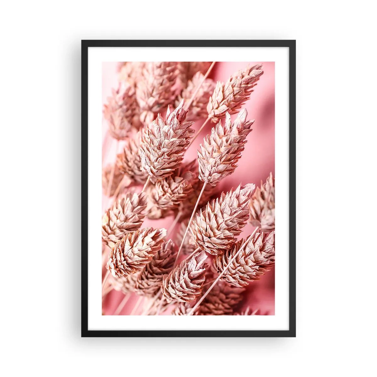 Plakat w czarnej ramie - Suszone kłosy zbóż na różowym tle w zbliżeniu - 50x70cm - Kwietna kaskada w różu - Nowoczesna dekoracja ścienna do salonu i sypialni ARTTOR