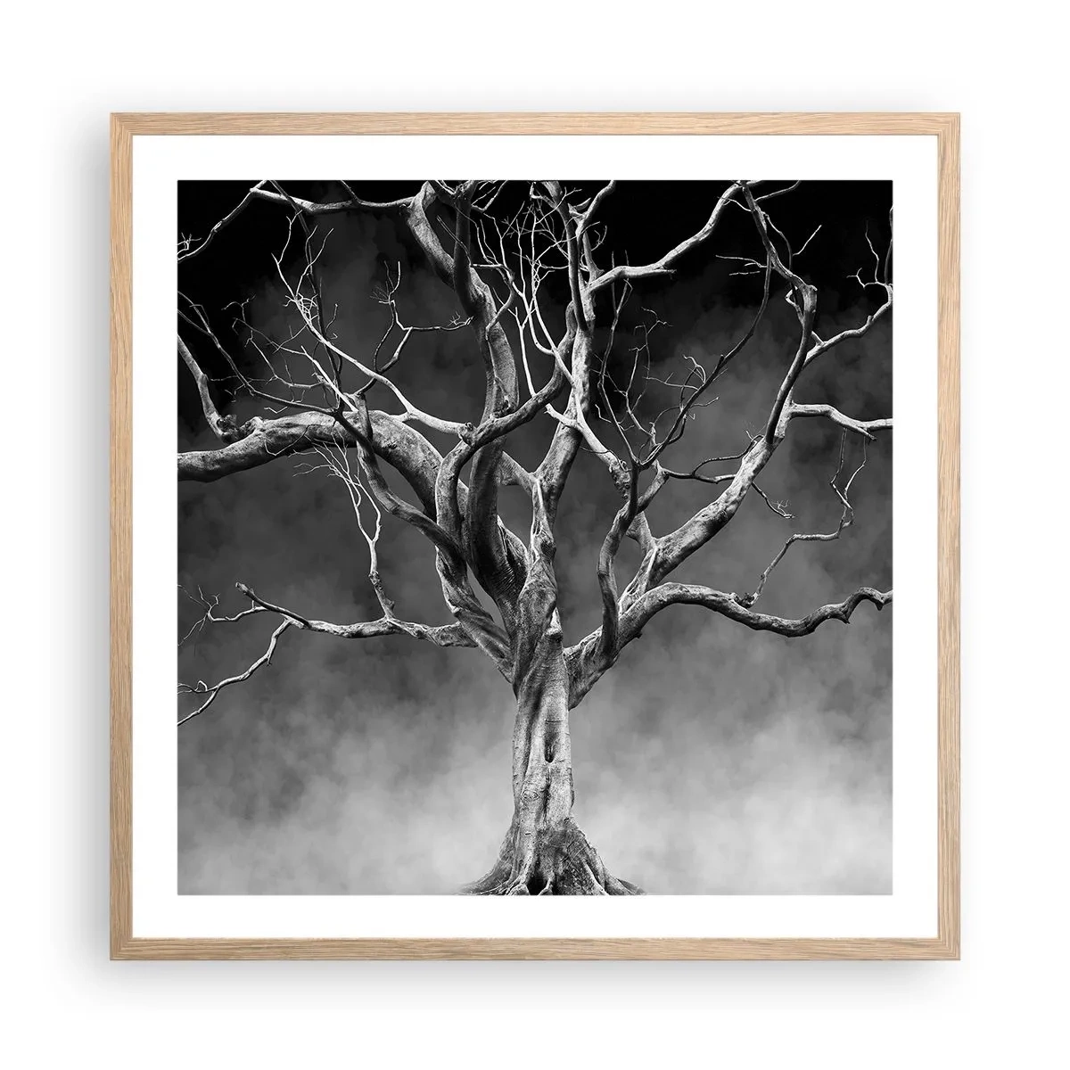Plakat w ramie jasny dąb - Pierwotne i święte - 60x60 cm