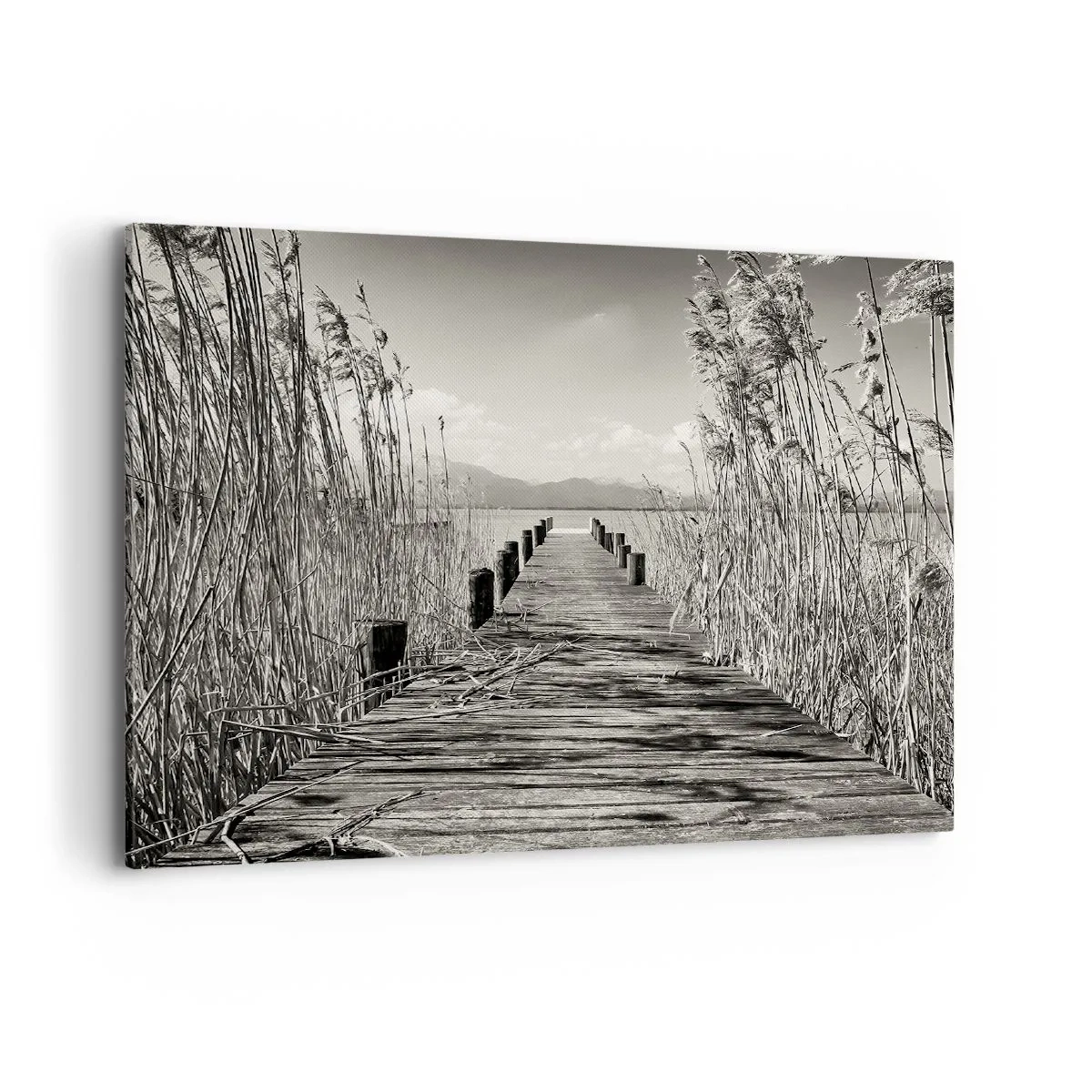 Obraz na płótnie - Drewniany pomost wśród wysokich traw nad jeziorem w odcieniach sepia - 100x70cm - W zaciszu traw - Nowoczesna dekoracja ścienna do salonu, kuchni i sypialni ARTTOR
