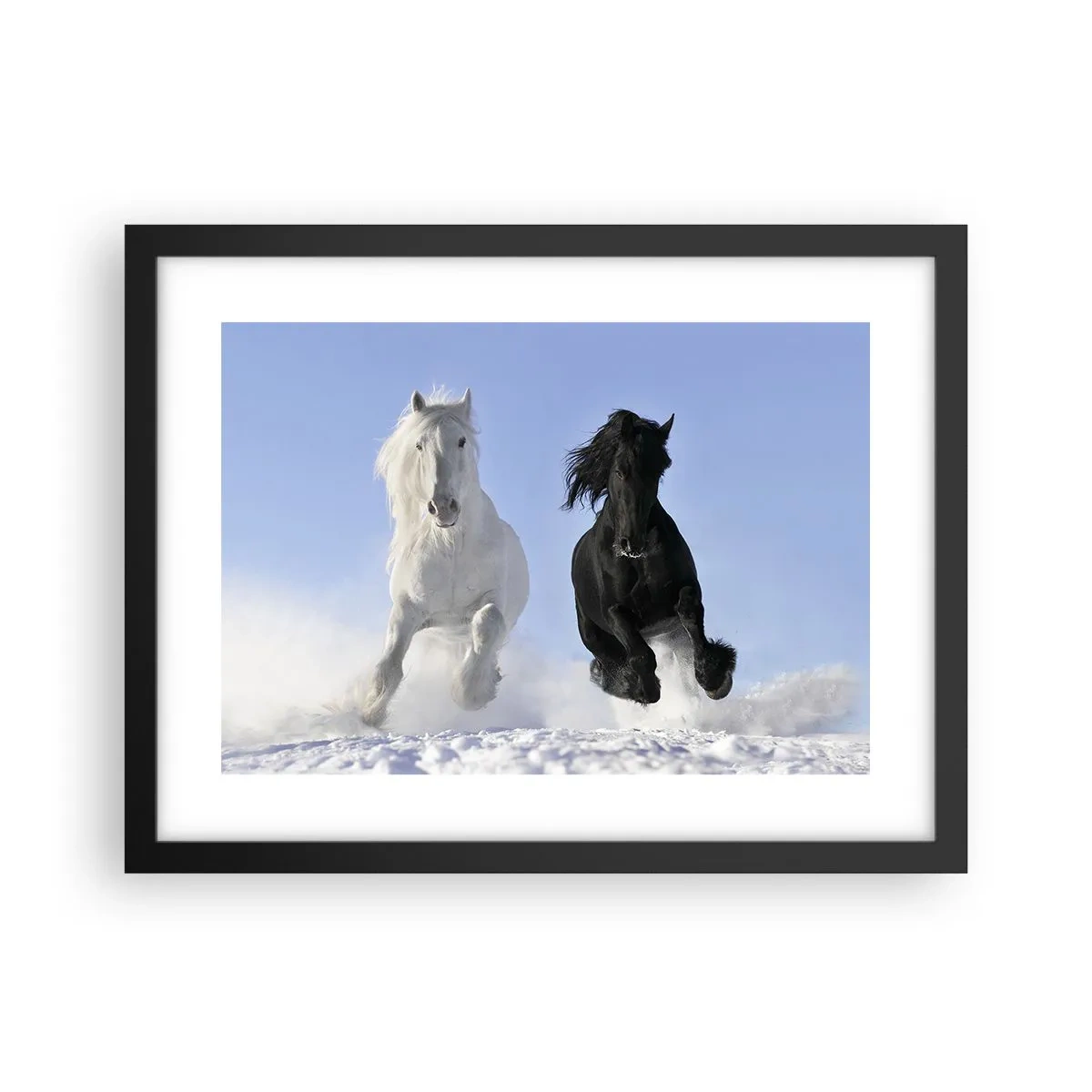Plakat w czarnej ramie - Czarno-biały galop - 40x30 cm