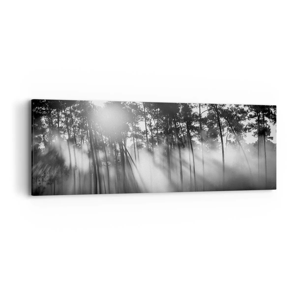 Obraz na płótnie - Niepowstrzymane słońce - 90x30 cm