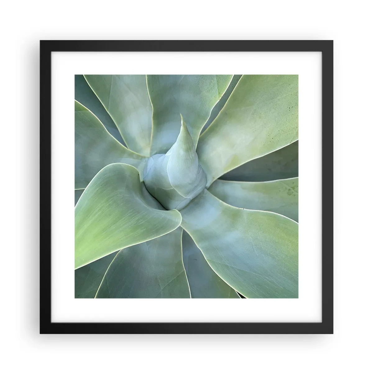 Plakat w czarnej ramie - Narodziny zieleni - 40x40 cm