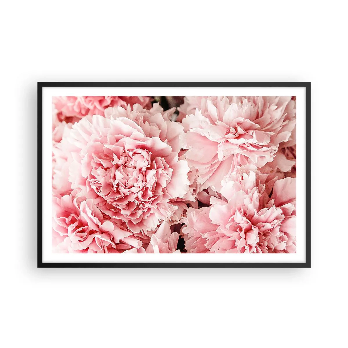 Plakat w czarnej ramie - Różowe marzenie - 91x61 cm