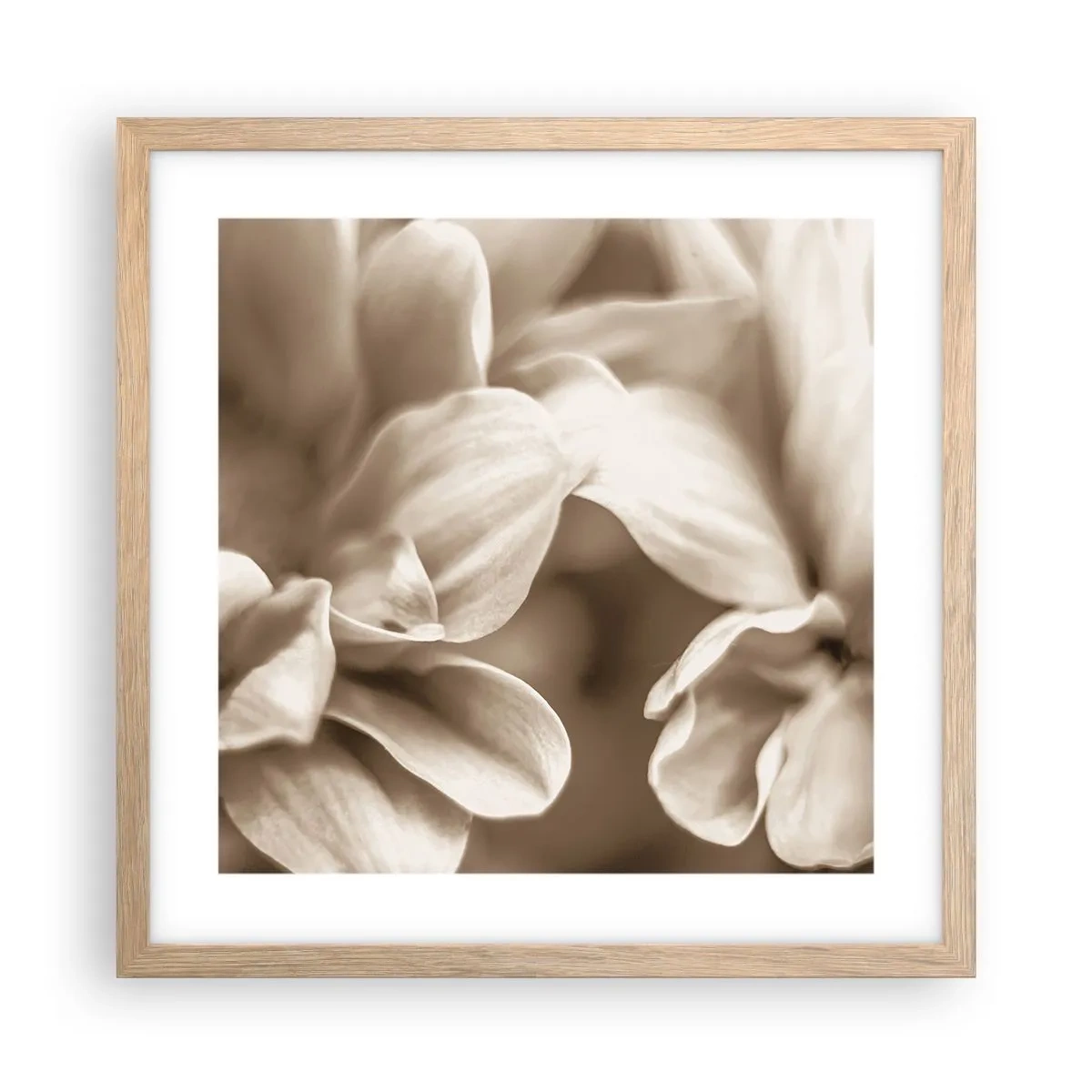 Plakat w ramie jasny dąb - Łagodne jak uśmiech - 40x40 cm