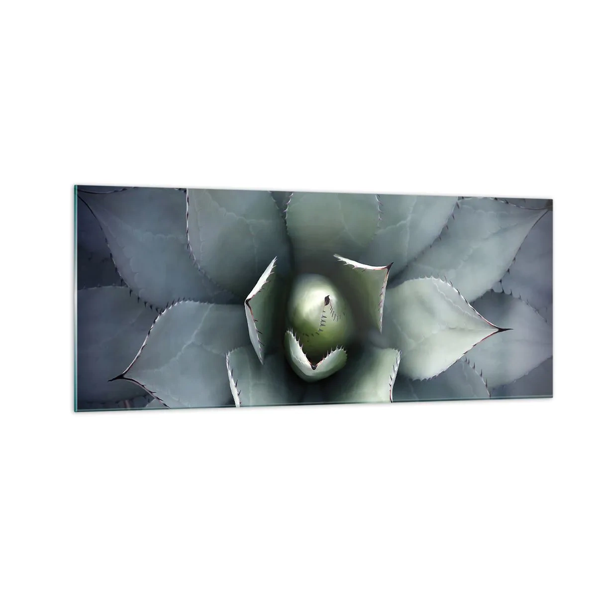 Obraz na szkle - Wabi i przestrzega - 100x40 cm