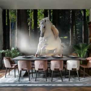 Fototapeta Premium Sand - Jak z powieści fantasy - Zwierzęta, Koń, Krajobraz - 450x315 cm