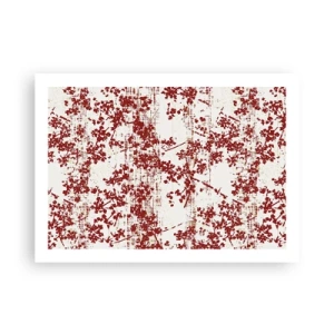 Plakat - Jak dawny perkalik - 70x50 cm