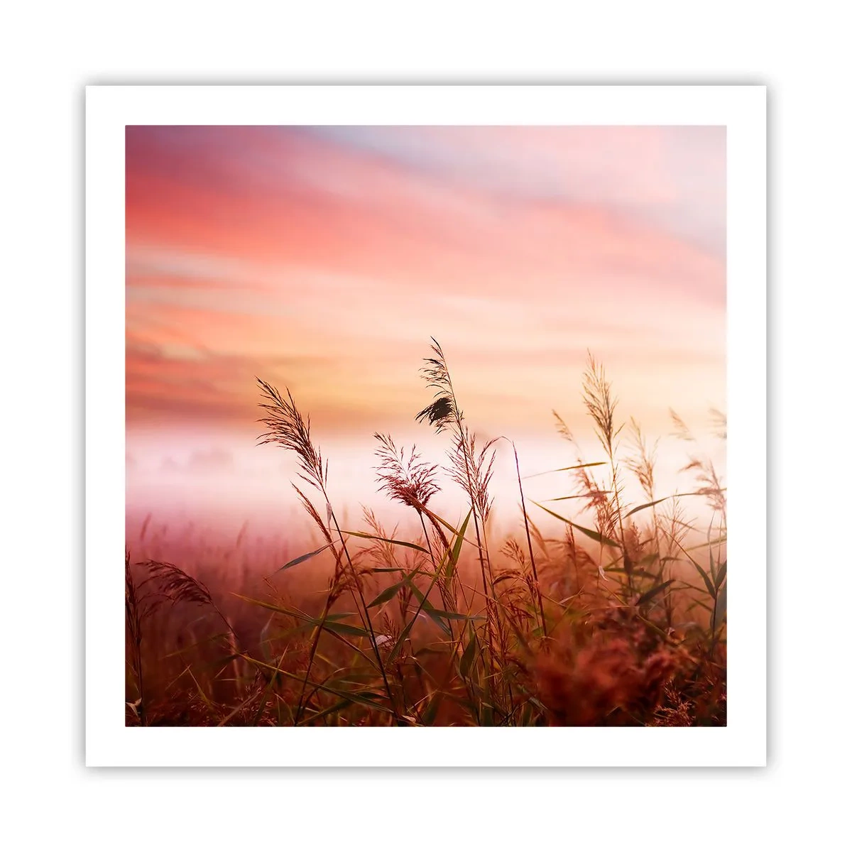 Plakat - Latawce, dmuchawce, wiatr - 60x60 cm