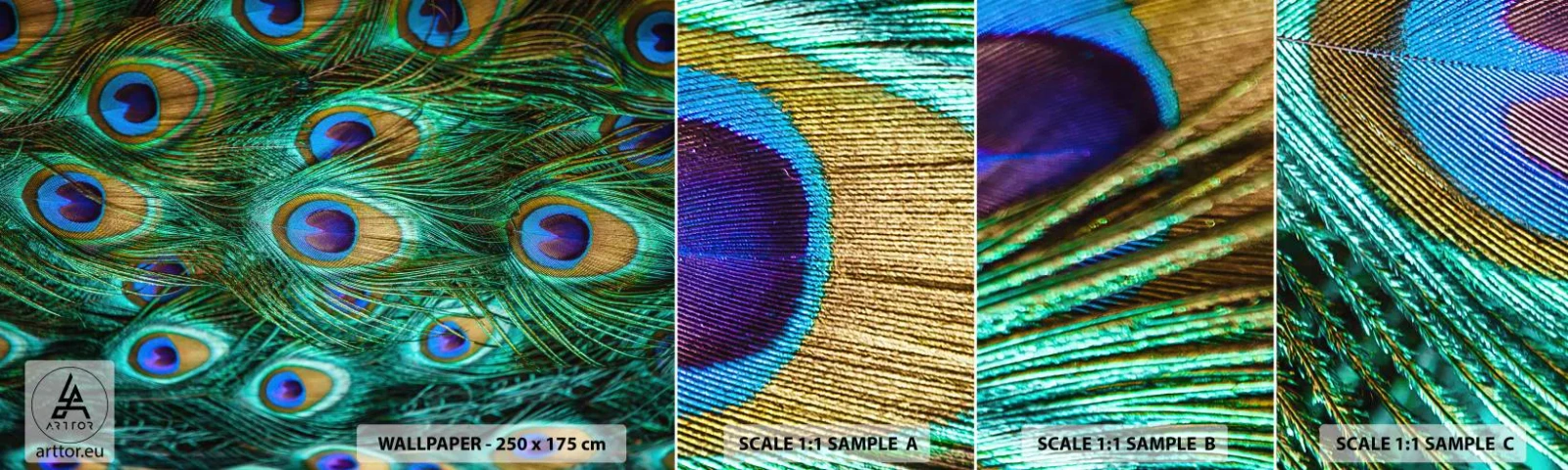 Fototapeta Próbka Samoprzylepna Deluxe Sticker - Pawiookie spojrzenie - Abstrakcja, Pawie Pióra, Pióro Ptaka - 100x30 cm