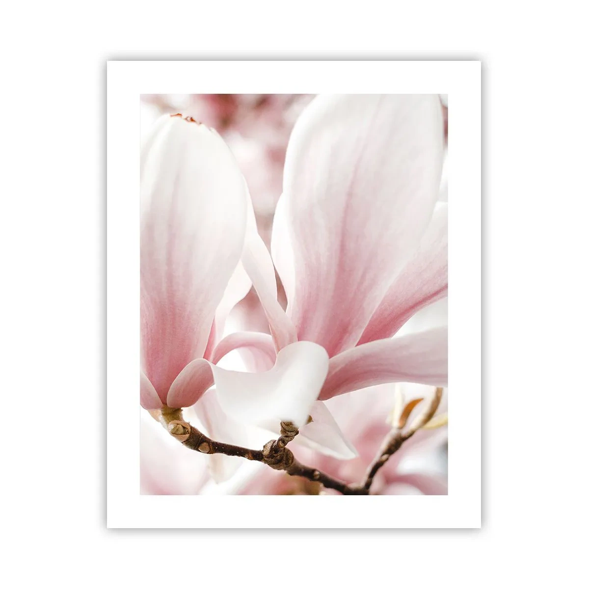 Plakat - Bezmiar czułości - 40x50 cm