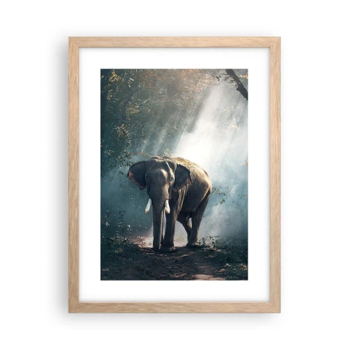 Plakat w ramie jasny dąb - Spokojna przechadzka - 30x40 cm