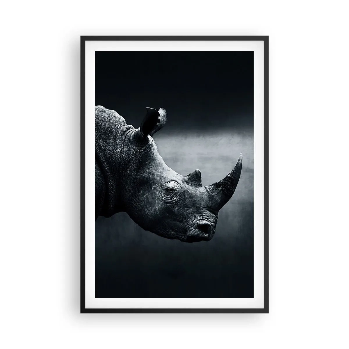 Plakat w czarnej ramie - Prawy profil - 61x91 cm