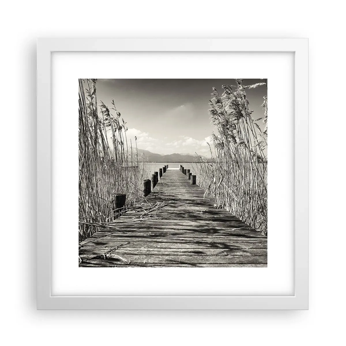 Plakat w białej ramie - W zaciszu traw - 30x30 cm