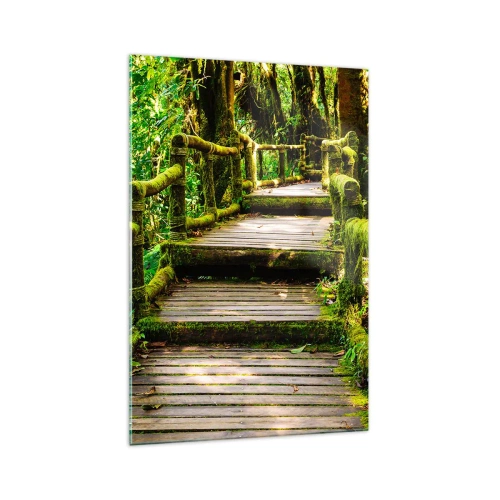 Obraz na szkle - Drewniany most porośnięty mchem w tropikalnym lesie deszczowym - 70x100cm - Korytarzem zieleni - Nowoczesna dekoracja ścienna do salonu i sypialni ARTTOR