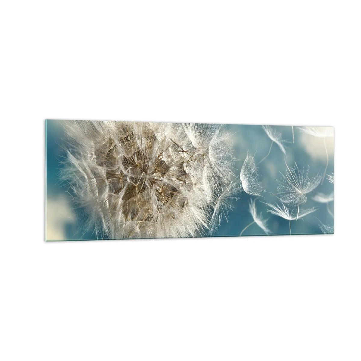 Obraz na szkle - Zdmuchiwany dmuchawiec na tle niebieskiego nieba - 140x50cm - Oddech anioła - Nowoczesna dekoracja ścienna do salonu i sypialni ARTTOR