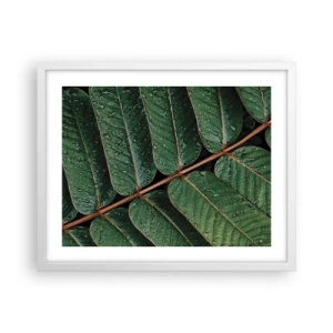 Plakat w białej ramie - W zielonym rytmie - 50x40 cm